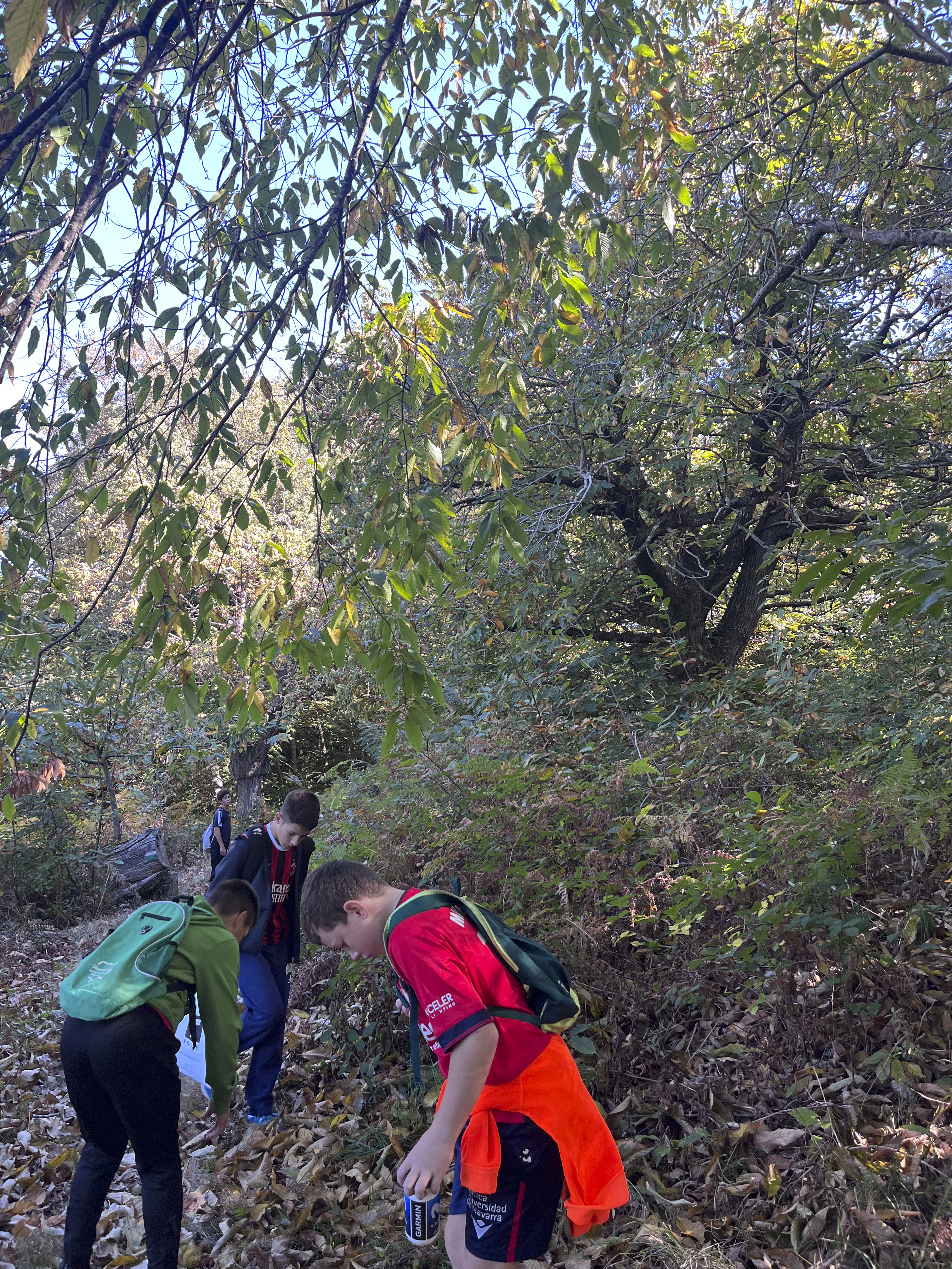 SUSTRAIAK PROIEKTUA - GAZTAINONDOEN INGURUKO IBILALDIA ALKOTZEN!