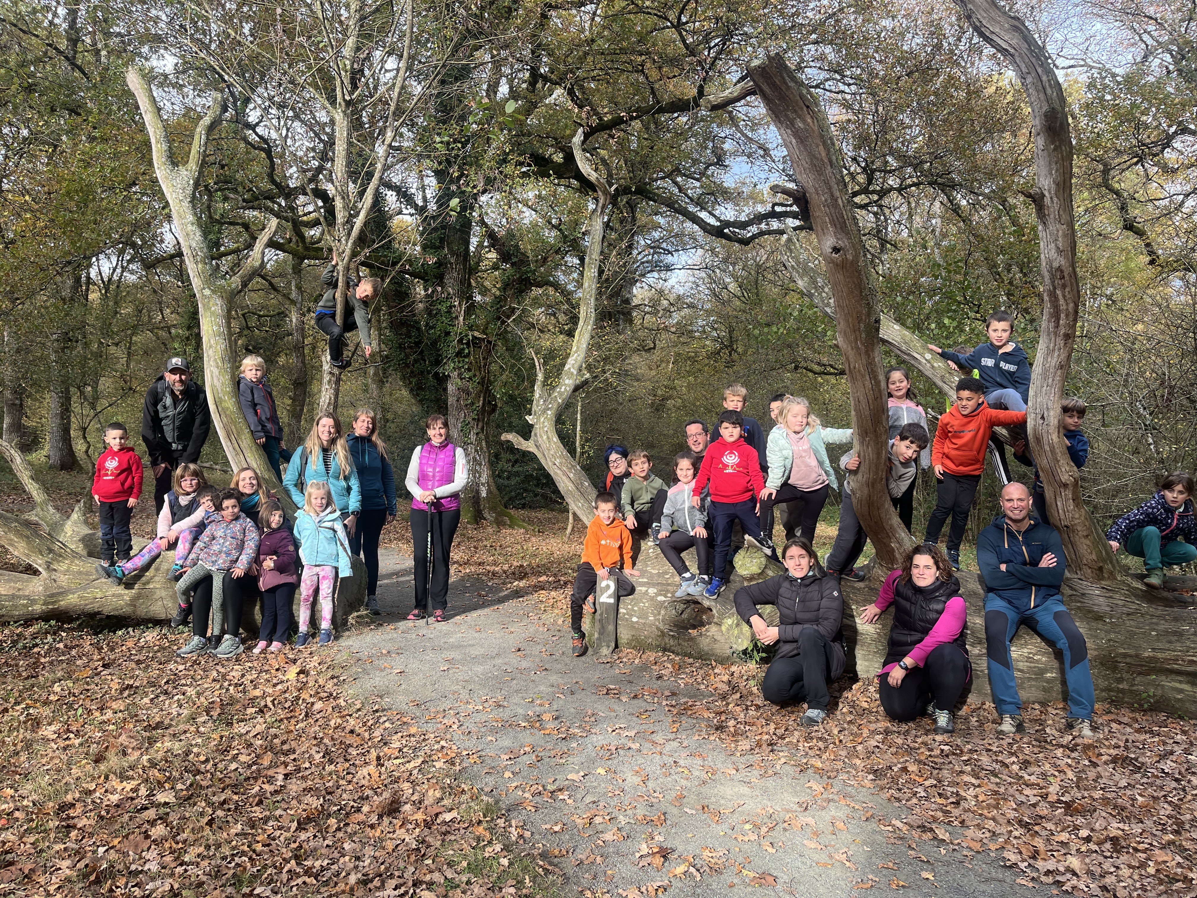 BOSQUE DE ORGI, ¡ADENTRANDONOS EN LA CASA DE LOS ROBLES!